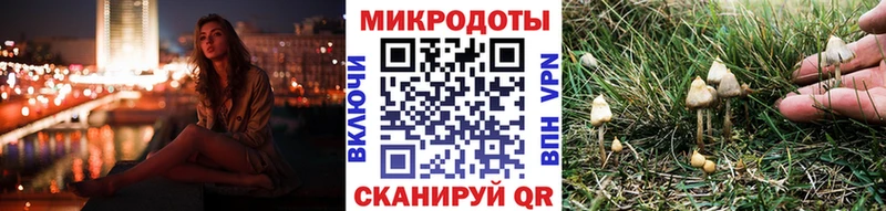 Галлюциногенные грибы Magic Shrooms наркошоп Фролово
